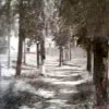 Camino de la Calsa